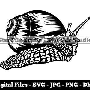 Gary the 2024 snail nipple rings