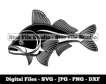 Zander #2 Svg, Zander Svg, Fishing Svg, Fish Svg, Zander Png, Zander Jpg, Zander Files, Zander Clipart