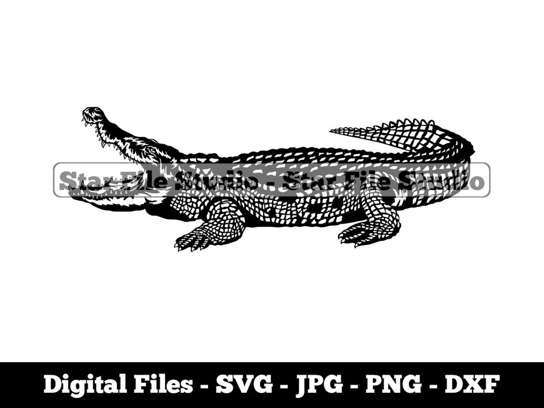 Alligator #6 Svg, Alligator Png, Alligator Jpg, Amphibian Svg, Reptile ...