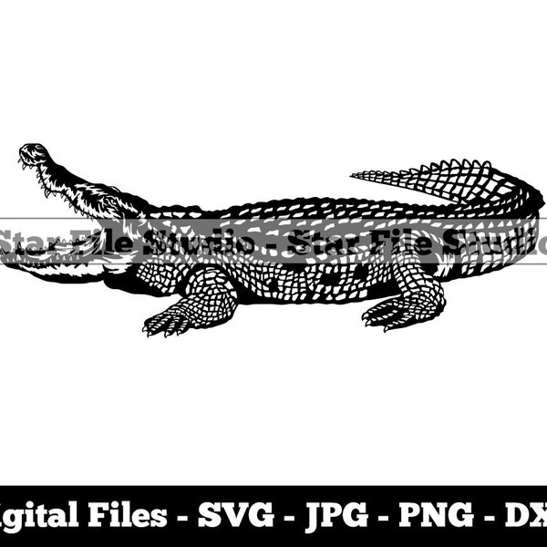 Alligator #6 Svg, Alligator Png, Alligator Jpg, Amphibian Svg, Reptile Svg, Alligator Files, Alligator Clipart