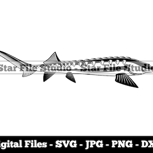 Sturgeon #5 Svg, Fishing Svg, Fish Svg, Sturgeon Png, Sturgeon Jpg, Sturgeon Files, Sturgeon Clipart