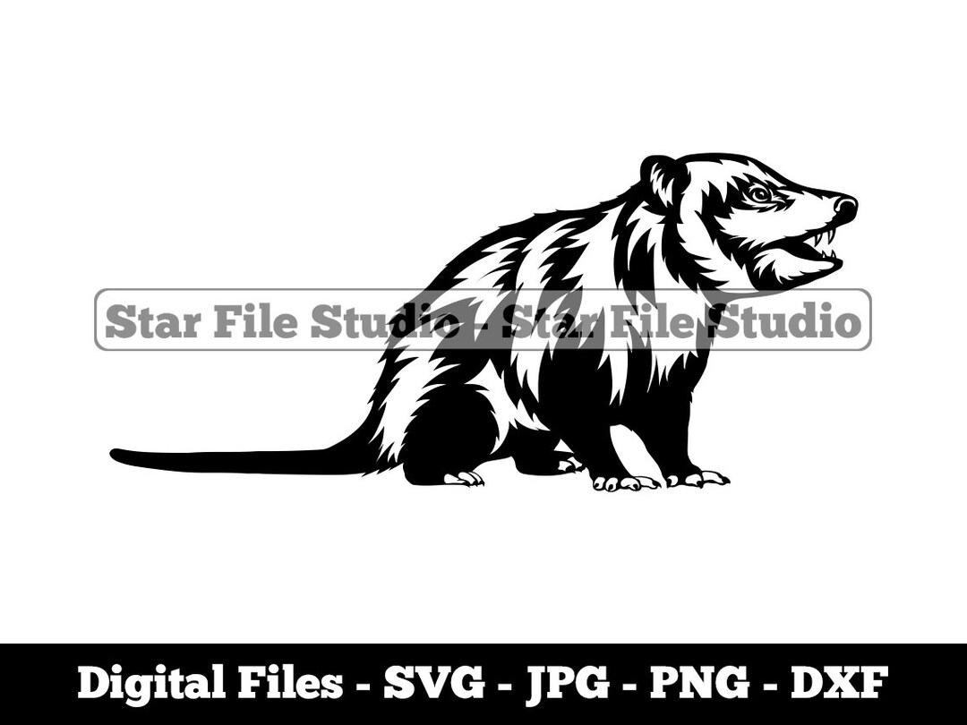 Opossum Svg, Forest Animals Svg, Forest Creatures Svg, Opossum Png