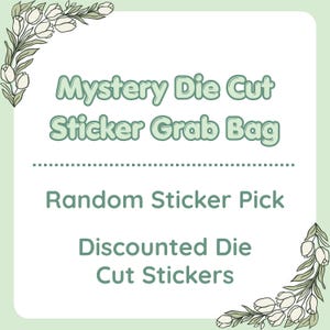 Mystery Die Cut Sticker Grab Bag | Discounted Stickers | Laptop Decals | Blind Bag Bundle | Random Pick