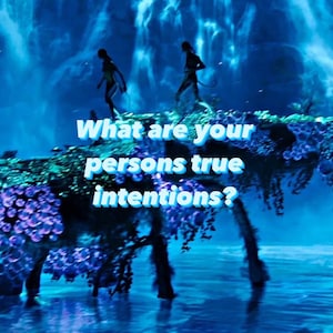 What are your persons true intentions?