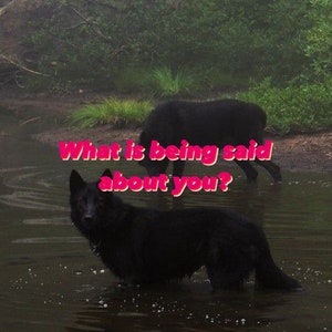What is being said about you?
