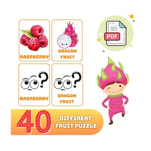 Fruits Cards, 40 Different Fruits for Kids, Montessori Flash Cards, Educational Cards, Preschool Fruit