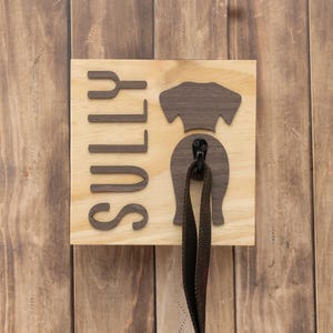 Dog Supply Organizer Wall Mount Storage System Custom Pet Name Design Leash Holder Collection Premium Pine Wood Construction Dog Breed Display Beautiful Home Organization Essential Practical Storage Solution Elegant Coat Hook System Display