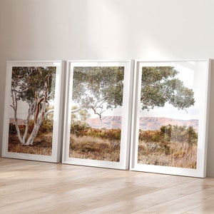 Conjunto de 3 impressões de paisagens do outback australiano, país, fazenda, goma australiana, eucalipto, arbusto neutro, pôster de árvores verdes