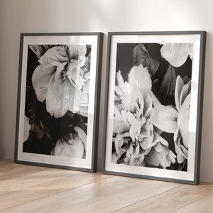 Set mit 2 schwarzen und weißen Pfingstrosenblüten | Minimalistische Drucke | Blumenpedale | Rosen | Florales abstraktes botanisches Poster