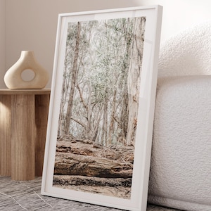Dirt road print, country, desert, farmhouse, Gumtree, trees, sand dune,Greenery, Australia landscape, bushland, Australiana landscape poster