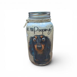 May include: A mason jar with a silver lid and a rope accent. The jar features a black and brown dachshund illustration with the text "ARE YOU Pooping?" on the front. The background has a textured, off-white appearance.