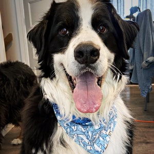 Haie Wendehalstuch mit Plastik-Druckknöpfen | Hundehalstuch | Katzen Bandana