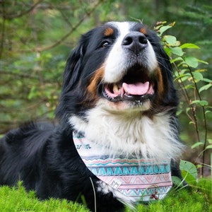 Aztec Reversible Pet Bandana with Plastic Snap Buttons | Dog Bandana | Cat Bandana
