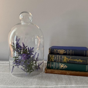 Vintage Glass Cloche Round Knob Thick Glass 12'' *Chip