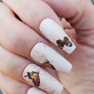 Edgy gold spiderweb and butterfly fall and Halloween nail set