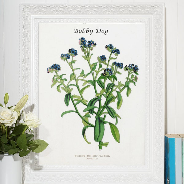 Custom Forget-Me-Not Antique Print | Lost loved One Gift | Pet Memorial| Miscarriage Art Gift | Digital Download