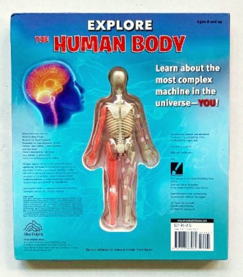 Explore the Human Body Book Etsy