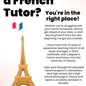 Tutor/Professor de Francês Experiente