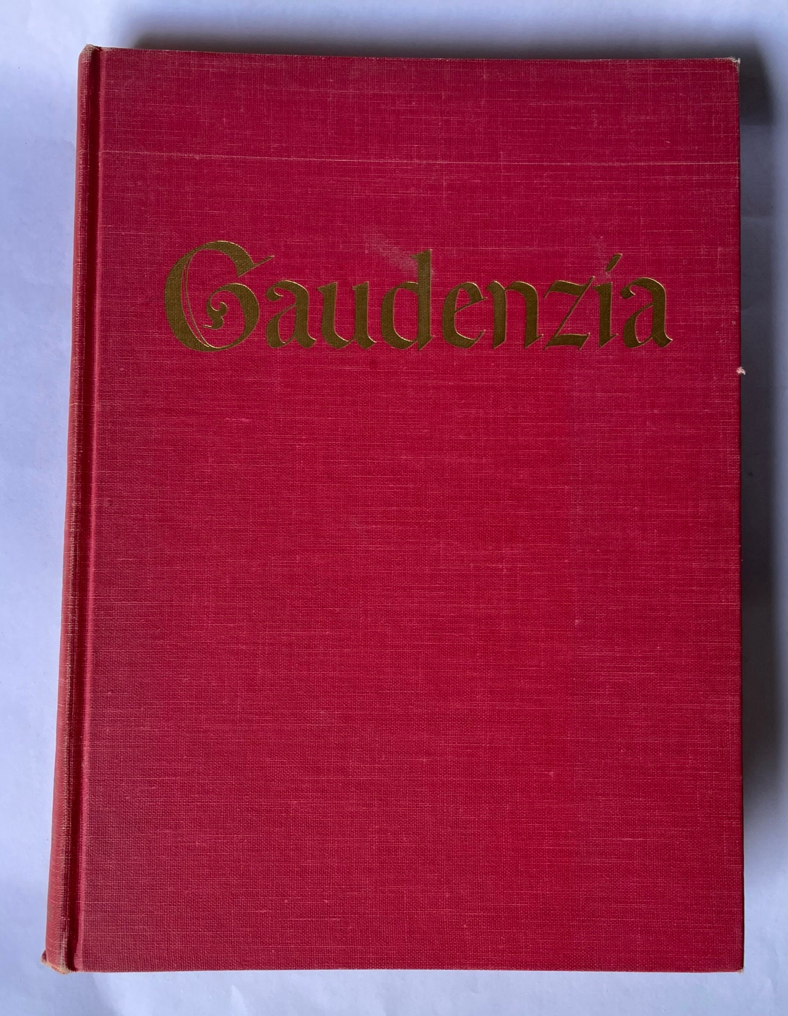 Gaudenzia Pride of the Palio by Marguerite Henry Etsy