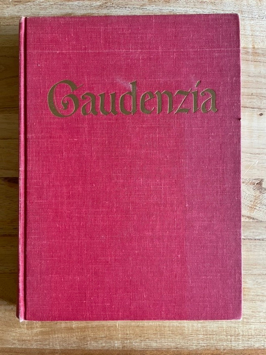 Gaudenzia Pride of the Palio by Marguerite Henry Etsy