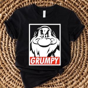 Disney Grumpy Shirt, ich mache keine passenden Shirts, Disney passende Shirts, keine passenden Shirts, Disney Familienurlaub mürrisches Zitat T-Shirt
