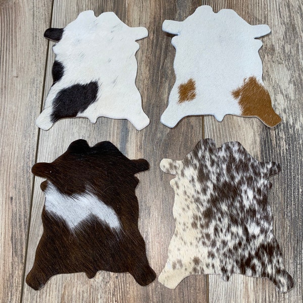 Real Cowhide Rug Etsy