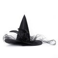 Halloween Witch Hat For Witchy Party, Witch Hat With Veil, Roses, Feather, Fancy Witch Hats For Women, Girls, Adults, Cosplay Witch Costume