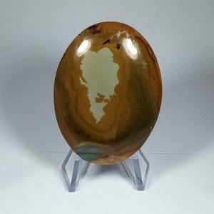 Owyhee Picture Jasper Cabochon