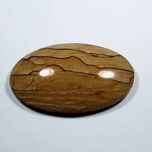 Owyhee Picture Jasper Cabochon