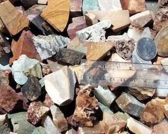May include: A collection of raw, colorful gemstones in various shapes and sizes. The stones display a range of colors, including beige, brown, red, green, and white. A ruler shows measurements in inches, and a coin is also present for size comparison.
