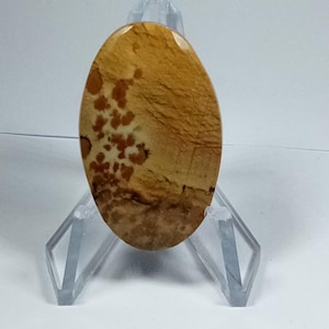 Owyhee Picture Jasper Cabochon