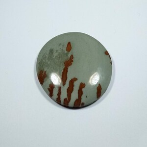 Owyhee Picture Jasper Cabochon
