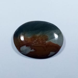 Owyhee Picture Jasper Cabochon