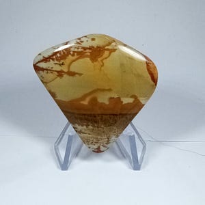 Owyhee Picture Jasper Cabochon
