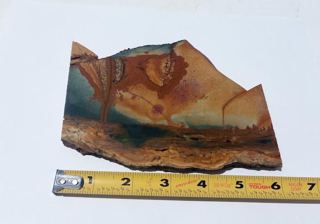 Owyhee Picture Jasper Slab