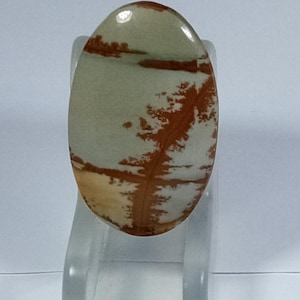 Owyhee Picture Jasper Cabochon