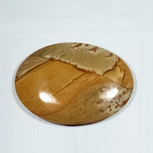 Owyhee Picture Jasper Cabochon