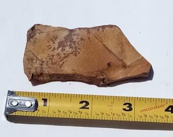 Owyhee Picture Jasper Slab