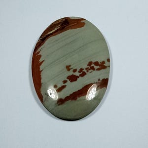 Owyhee Picture Jasper Cabochon