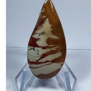 Owyhee Picture Jasper Cabochon