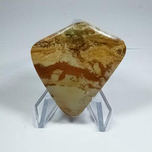 Owyhee Picture Jasper Cabochon