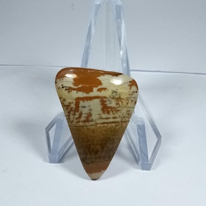 Owyhee Picture Jasper Cabochon