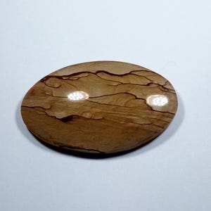 Owyhee Picture Jasper Cabochon
