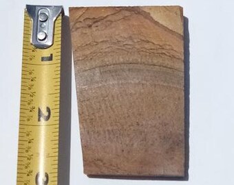 Owyhee Picture Jasper Slab