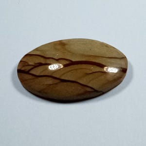 Owyhee Picture Jasper Cabochon