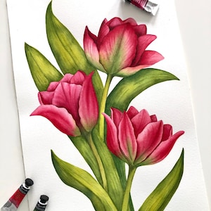Peinture originale tulipe • Art botanique • Tulipe aquarelle • Beaux-arts • Oeuvre d'art tulipe • Illustration aquarelle • Art floral original