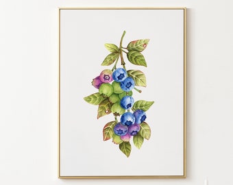 Art print of original painting • Blueberry botanical art • Watercolor blueberry • Original fine art print • Watercolor botanical wall art