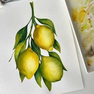 Lemon branch watercolor painting • Botanical art • Original art work • Lemon fine art • Lemon branch artwork • Watercolor illustration