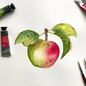 Dipinto originale di mela • Arte botanica • Mela ad acquerello • Belle arti di mela • Dipinto originale • Illustrazione ad acquerello • Arte murale di frutta