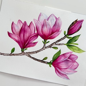 Magnolie • Botanische Malerei • Aquarell • Blumen Malerei • Blumen • Aquarell • Blumen Gemälde
